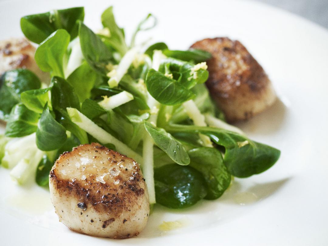 Crispy Gordon Ramsay Pan-Fried Scallops Recipe, Recipe