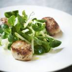 Pan-Fried Scallops with Crunchy Apple Salad Recipe | Gordon Ramsay