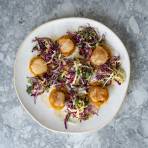 PAN-SEARED SCALLOPS WITH BUTTERNUT SQUASH PUREE & POMEGRANATE-QUINCE SLAW » Gordon Ramsay.com