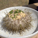Sea Urchin Scrambled Eggs from Scrambled on the Road » Gordon Ramsay.com