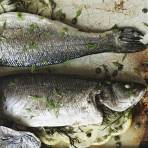 Sea Bass With Fennel, Lemon And Capers | Gordon Ramsay Recipes
