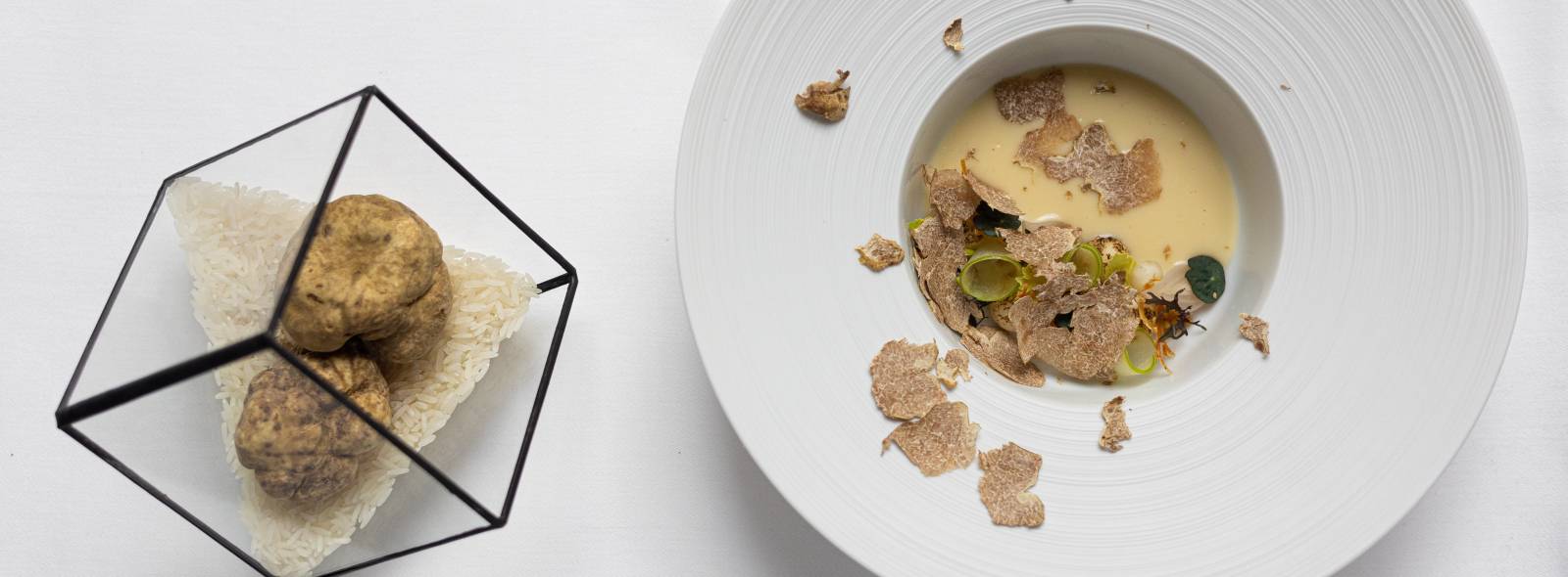 GR DOT COM GIFTING CAROUSEL 1